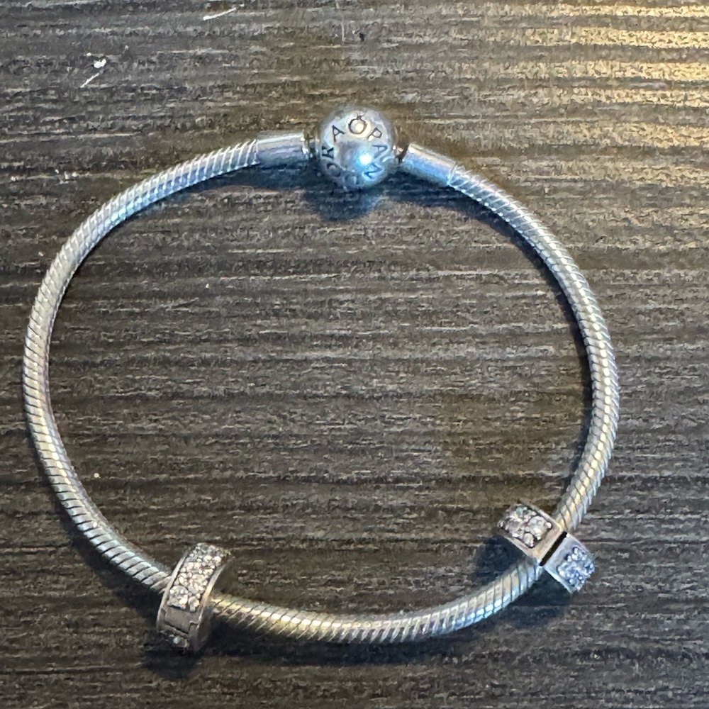 Snake bracelet and clips